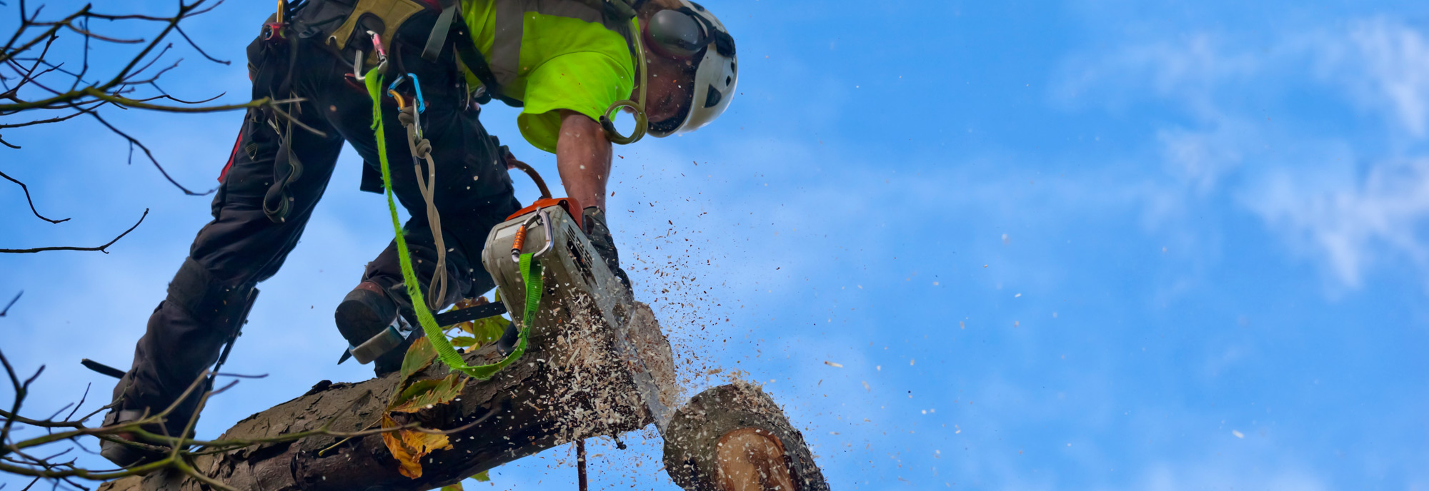 tree-service